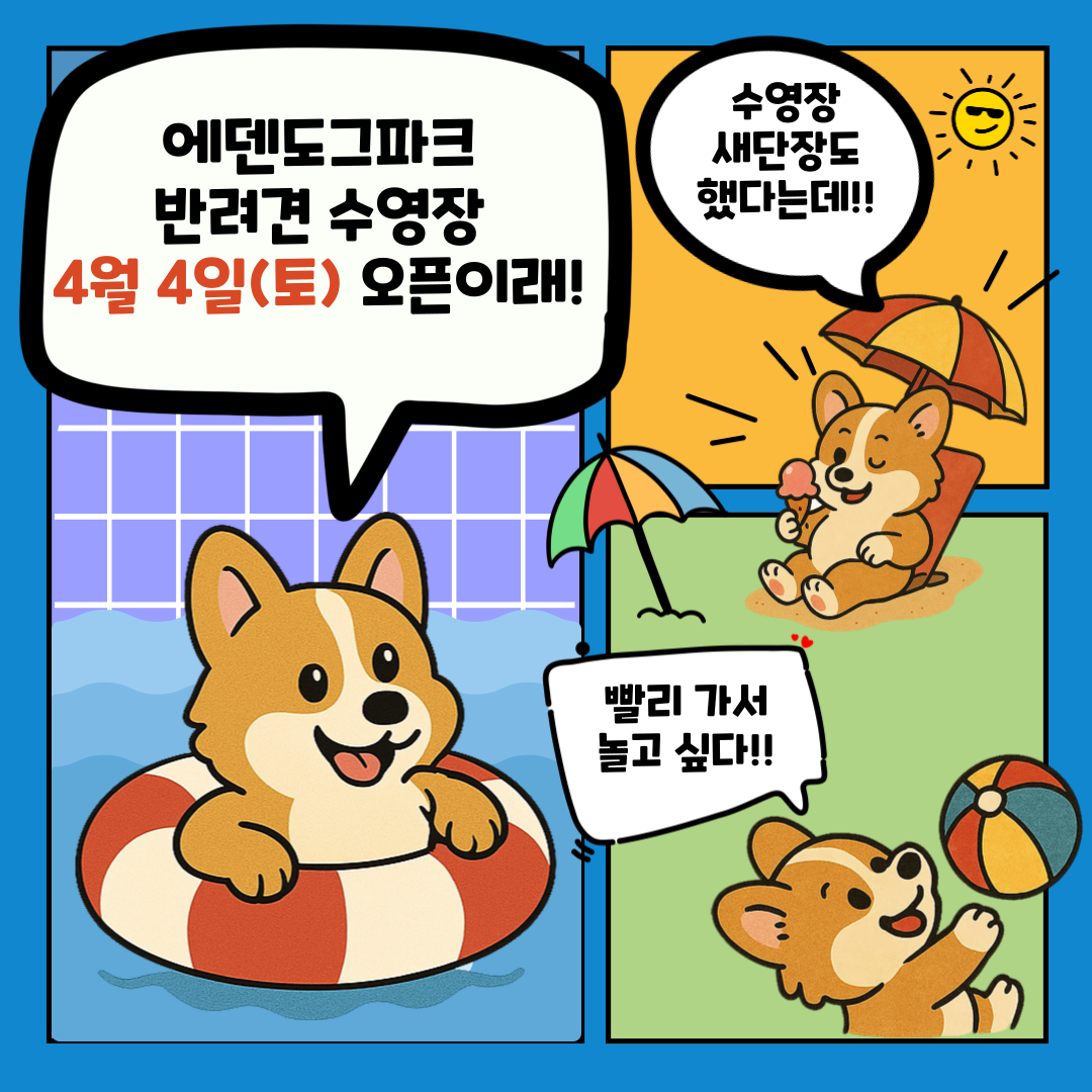 수영장 오픈 이벤트